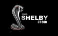 /album/fotogaleria/a21375-1280x800-shelby-logo-jpg1/