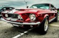 /album/fotogaleria/mustang-shelby-102-jpg/